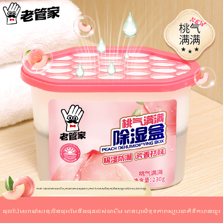 3 Pcs Moisture Absorber Box for Home - C/LF255